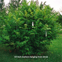 Load image into Gallery viewer, Variety Pack of PERMA•STAKE™ Garden Markers (13 pieces)