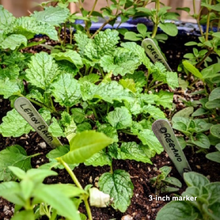 Load image into Gallery viewer, Variety Pack of PERMA•STAKE™ Garden Markers (13 pieces)