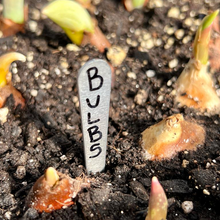 Load image into Gallery viewer, 3-inch (7.6 cm) PERMA•STAKE™ Garden Markers (Package of 20)