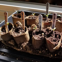 Load image into Gallery viewer, 3-inch (7.6 cm) PERMA•STAKE™ Garden Markers (Package of 20)